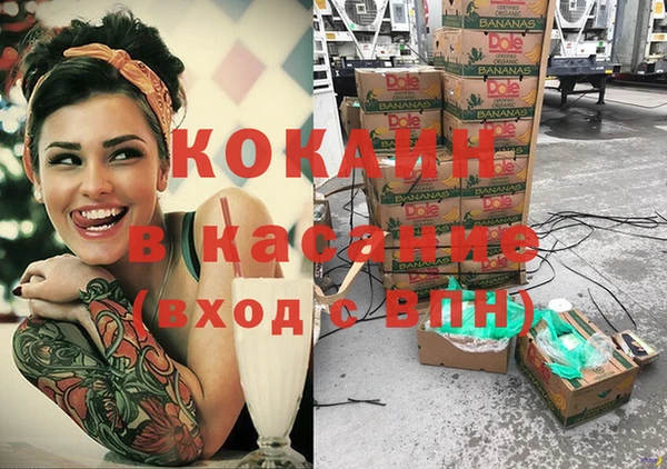 крисы Баксан