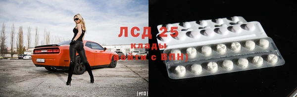 крисы Баксан