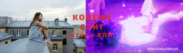 крисы Баксан