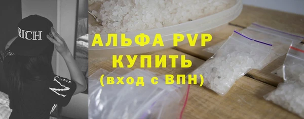 крисы Баксан