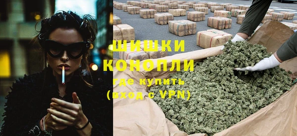 крисы Баксан