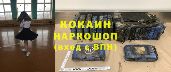 крисы Баксан